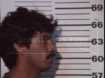 Raul Vega Montalvo