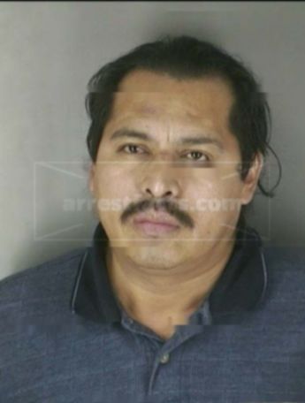 Evelio Meneses Vargas