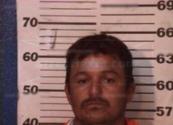 Ramon Ramirez Navarro