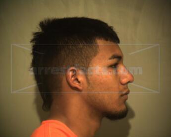 Roman Jr Gurrola Torres