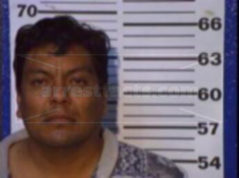 Pedro Tello Sanchez