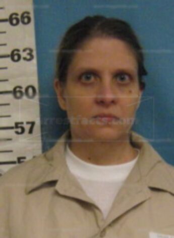 Cindy S Davis