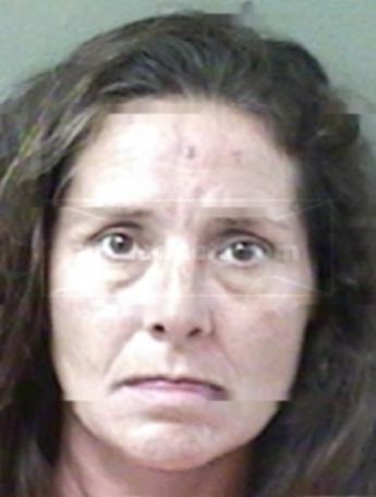 Theresa Lynne Williams