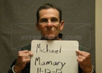 Michael G Mamary