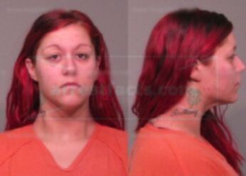 Brittany Palmer Seaferd
