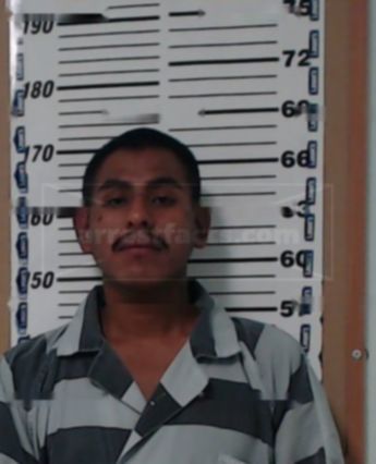 Nelson Martinez-Juarez