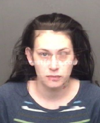 Megan Leeann Mellinger