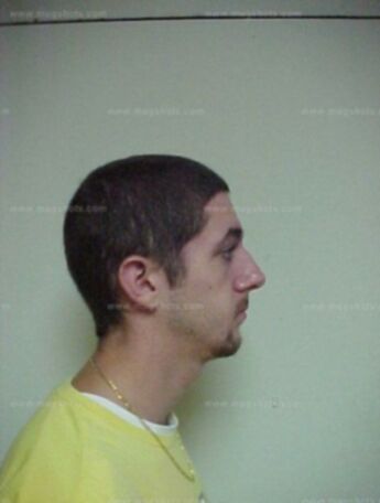 Brandon L Dellinger