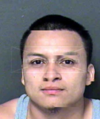 Walter L Hernandez-Rosa