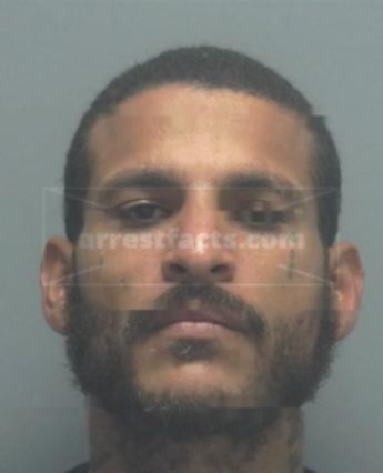 Miguel Angel Alvarado-Vega