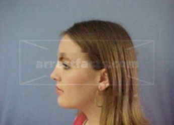 Melissa M Perkins