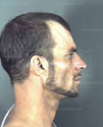 Clarence Lee Bramlett