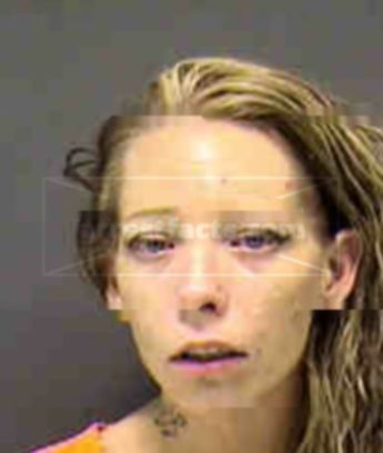 Stephanie Lynn Hollenbeck