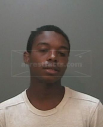 Lee Warren Johnson