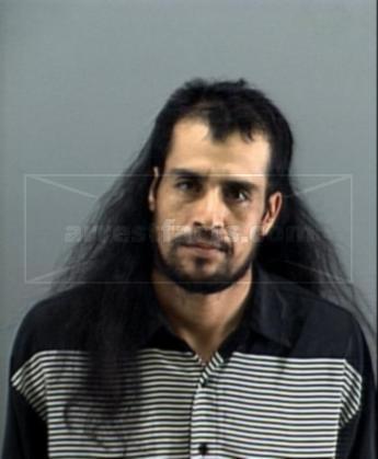 Vaca Martin Rangel