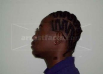 Derrick L Williams Jr.