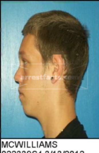 James Louis Mcwilliams Iii