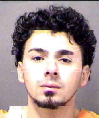 Darwin Alexander Carbajal