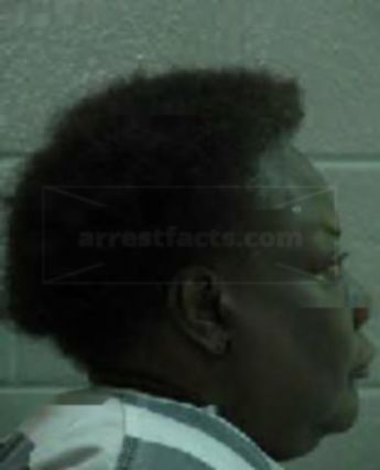 Erma Jean Williams
