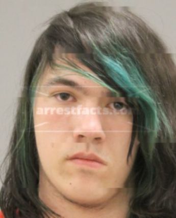 Nathan Tyler Horner