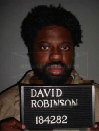 David N Robinson