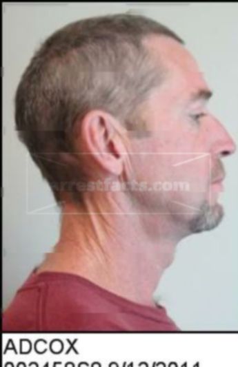 Robert Mcdonald Adcox Jr