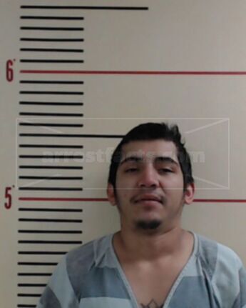 Miguel Angel Flores