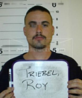 Roy H Triebel