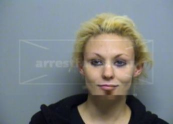 Megan Lee Bassett