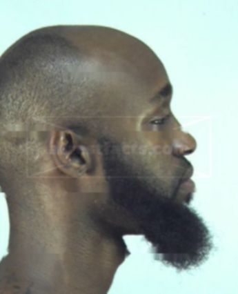 Johnnie Lee Williams Jr