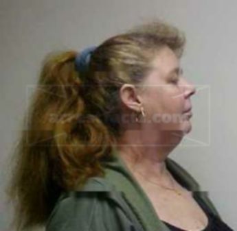 Debra A Webb