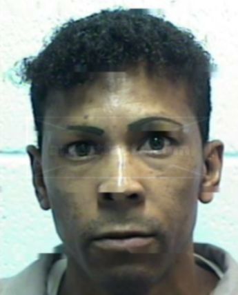 Dante L Greene