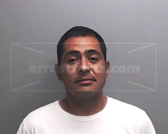 David Palomo