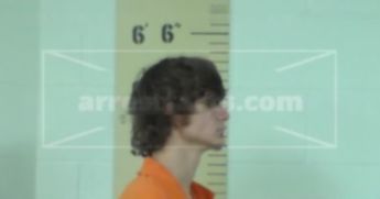 Lane Douglas Webb