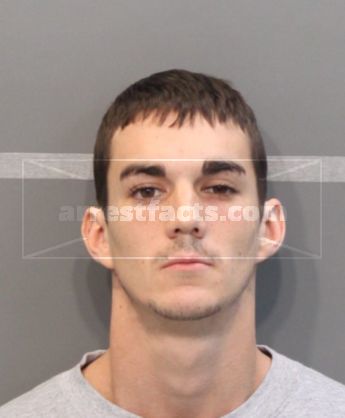 Logan Mcdonald Lewis