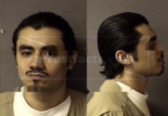 Stephen Mitchell Morales
