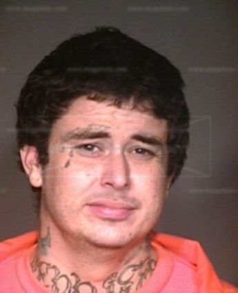 Timothy J Garrigan