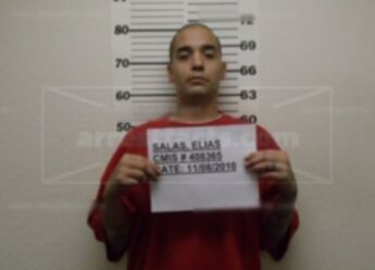 Elias Salomon Salas