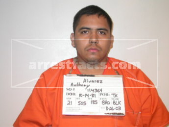 Anthony Alvarez