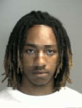 Darnell Palmer