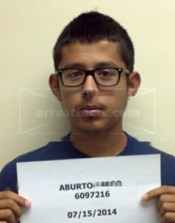 Diego Aburto