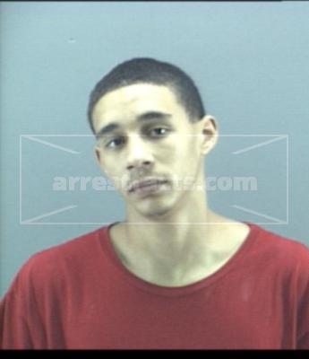 Michael Dammone Wilson