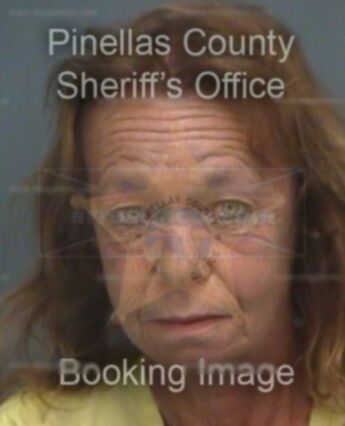 Susan Lee Donahoo