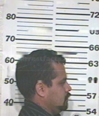 Jose Julian Negrete Ramos
