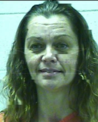 Lisa M Jenkins
