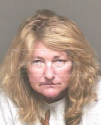 Sudie Ann Anderson