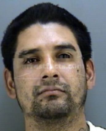 Roy Alvarado Jr.