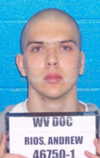 Andrew Rios