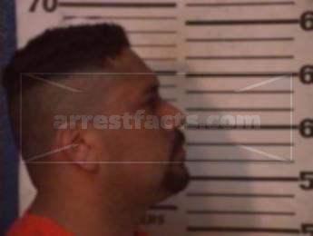 Nelson Martinez Villalobos