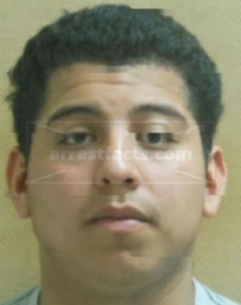 Matthew F Arellano
